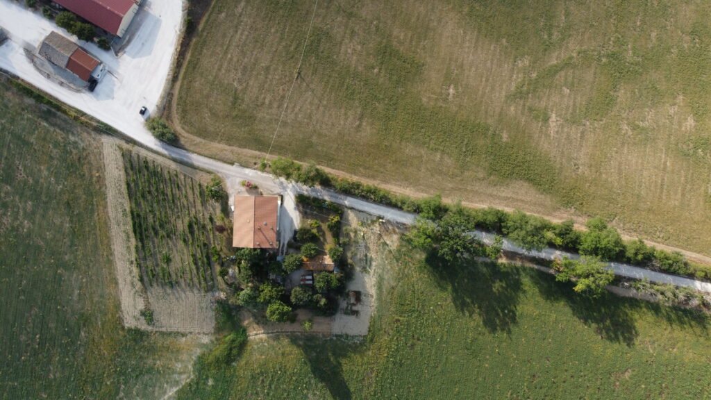 dcim100mediadji 0619.jpg