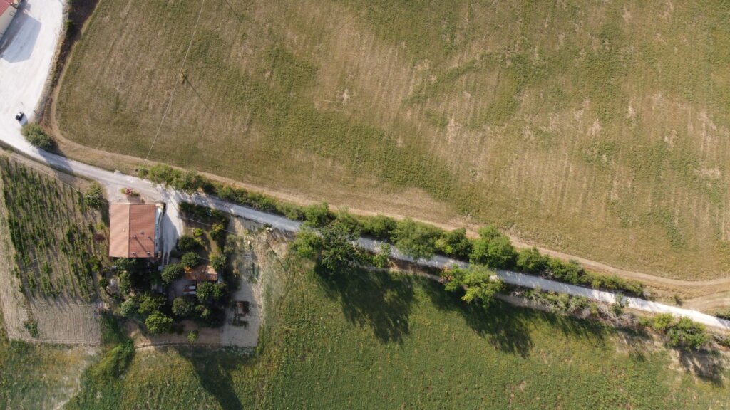 dcim100mediadji 0620.jpg