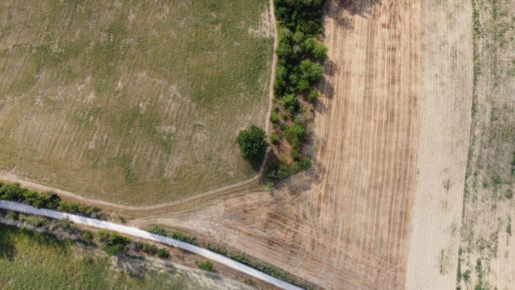 dcim100mediadji 0623.jpg