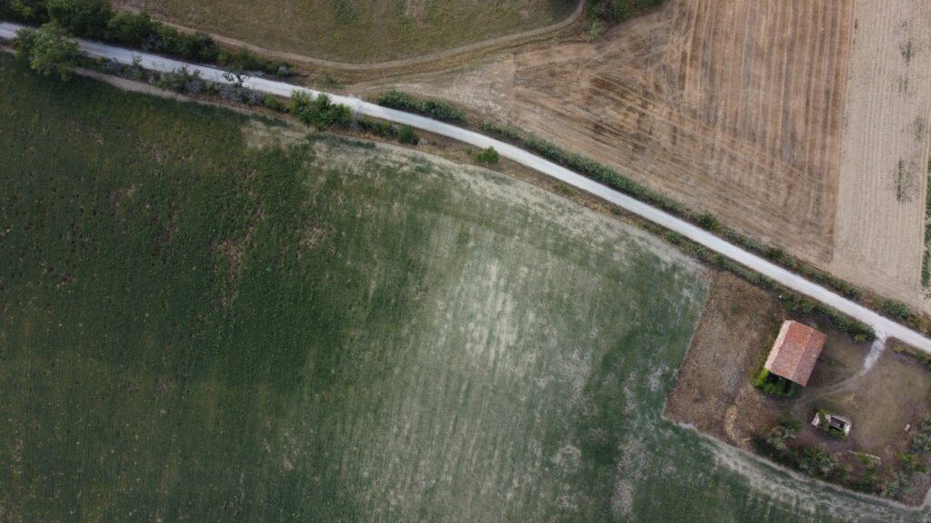 dcim100mediadji 0628.jpg