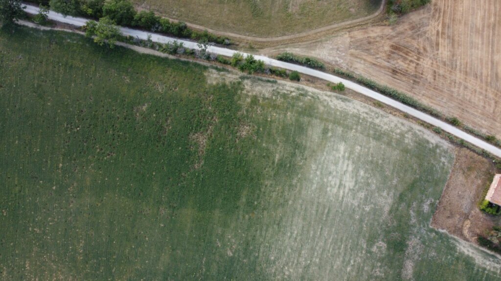 dcim100mediadji 0629.jpg