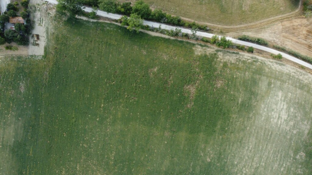 dcim100mediadji 0630.jpg