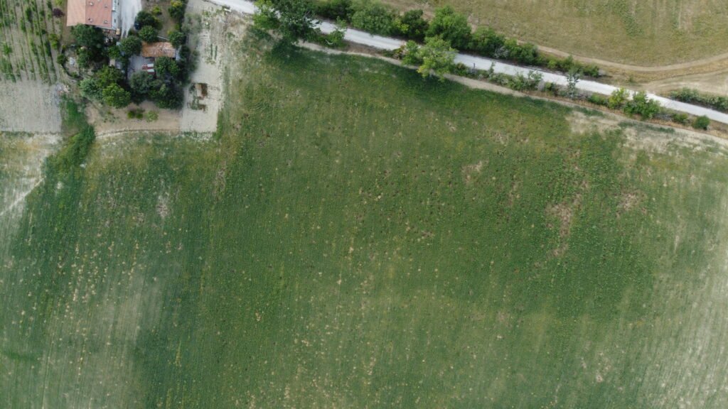 dcim100mediadji 0631.jpg