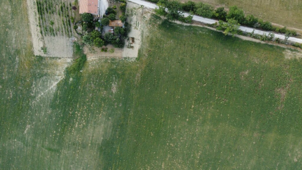 dcim100mediadji 0632.jpg